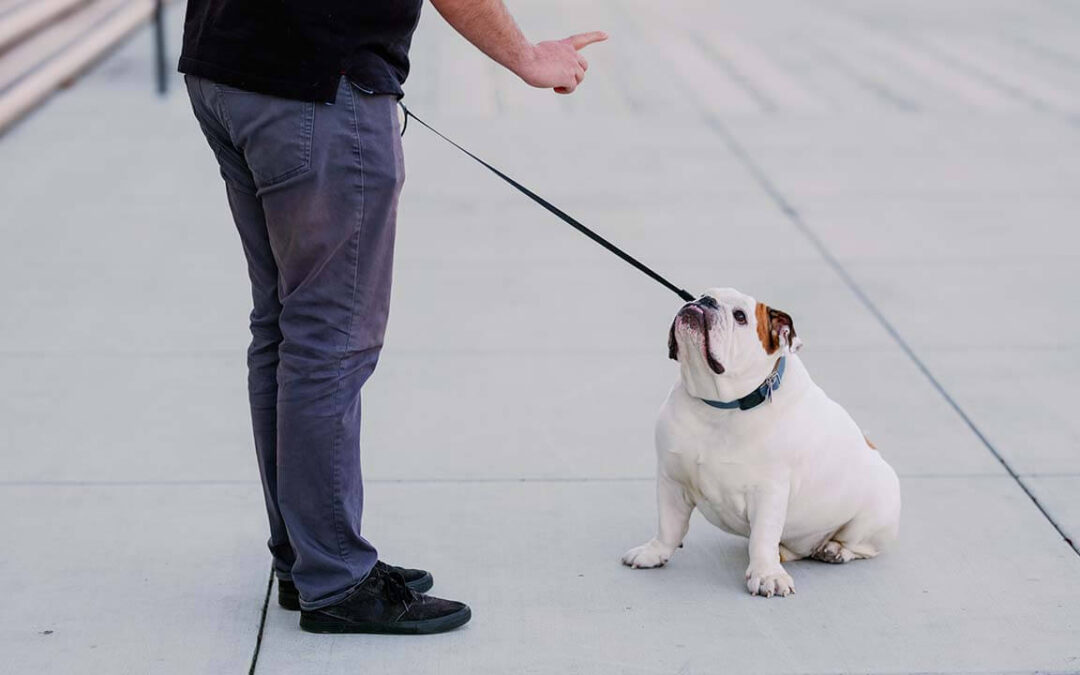 2. Journey to 30: New Years